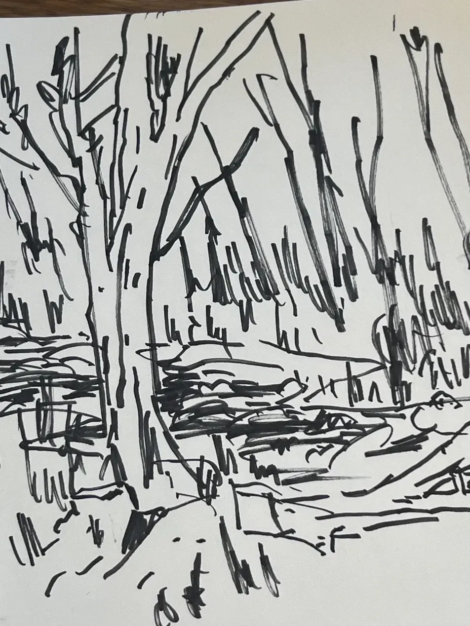A black-ink sketch of trees and the riverbank.